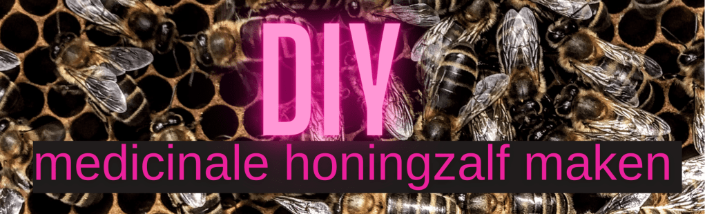 honingraat met bijen op de achtergrond en de woorden DIY medicinale honingzalf maken