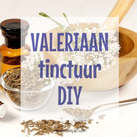 valeriaanbloemen en gedroogde valeriaanwortel in vijzel naast bruine tinctuurflesjes