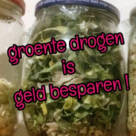 glazen pot met gedroogde prei met tekst: groente drogen is geld besparen!
