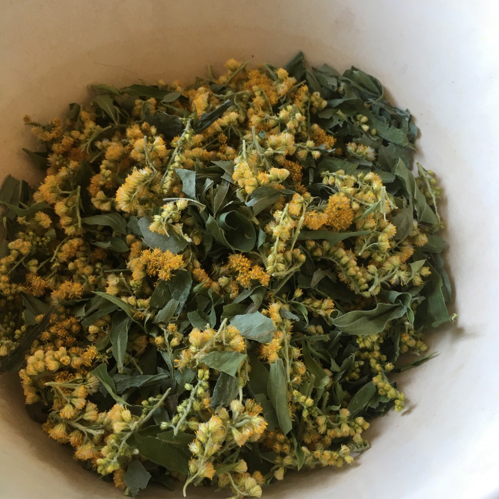 geknipte guldenroede