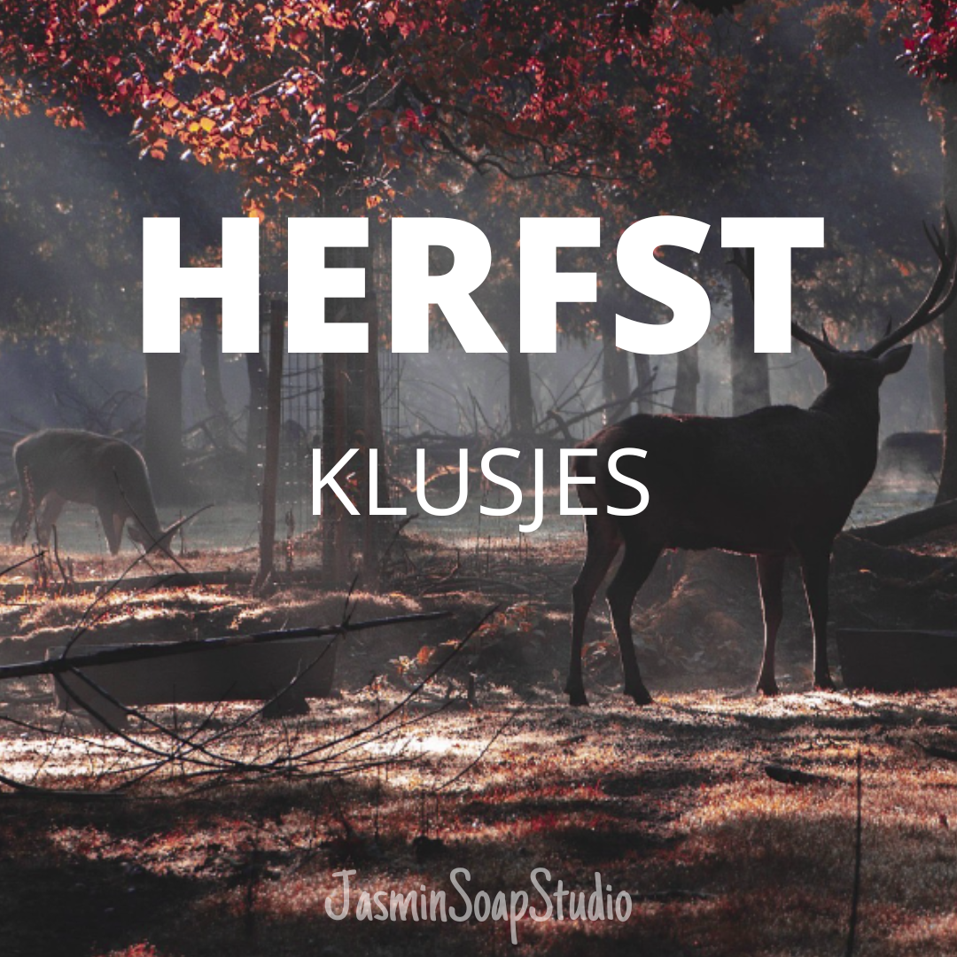 trees autumnleaves and deer